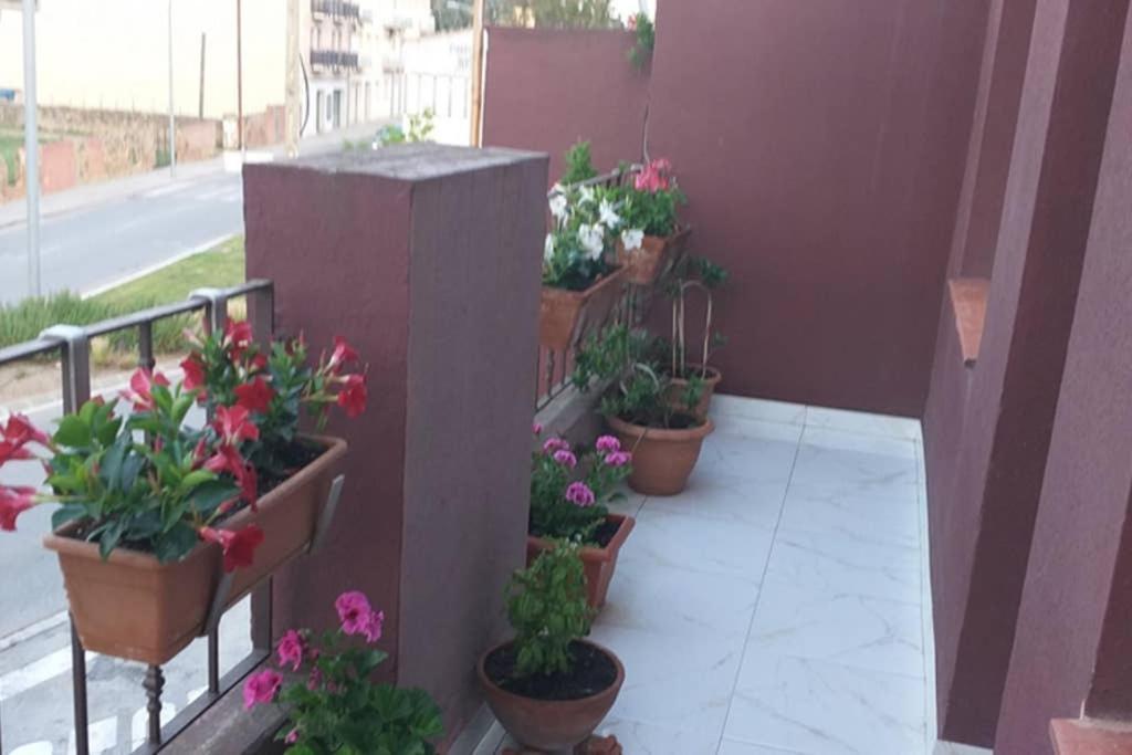 Apartamento Vacaciones Palafrugell Extérieur photo